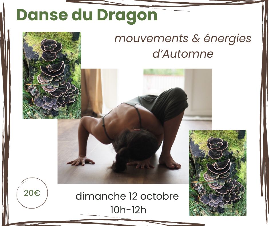 Danse du Dragon Automne (4) Danse du Dragon Automne (4)